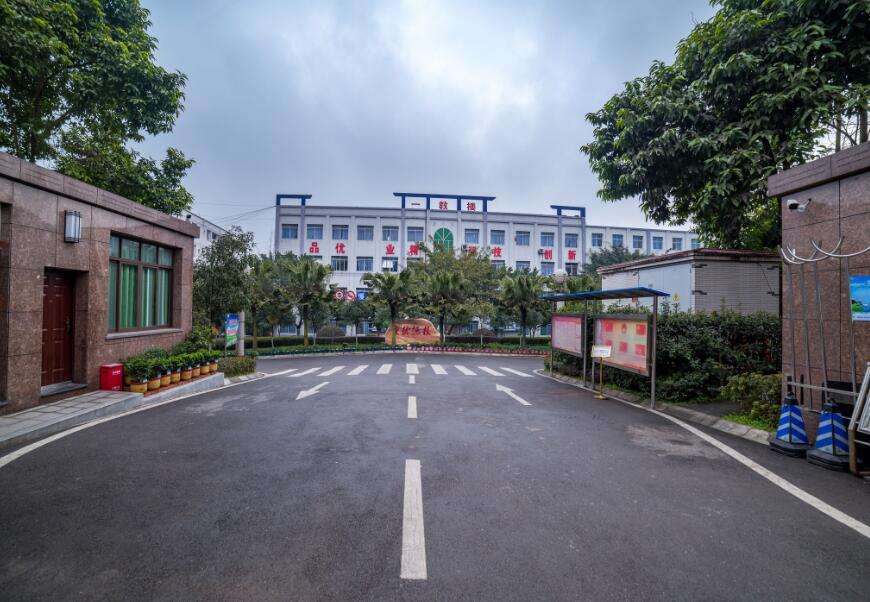重慶沙坪壩區輕軌學校學費高嗎?